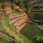Nepal must put agrobiodiversity at the centre of regenerative agriculture