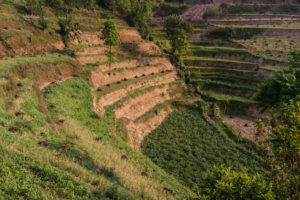 Nepal must put agrobiodiversity at the centre of regenerative agriculture