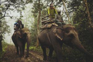 Jungle safaris stopped in Chitwan National Park due to monsoon
