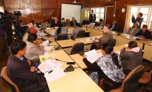 Parliamentary committee fails to reach consensus regarding formation of panel to investigate Sarlahi death