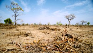 Manage land better to prevent catastrophic breakdown
