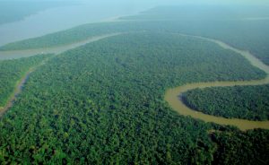 An effect of rising deforestation in Brazil, Amazon fires turn into a global crisis