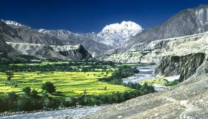 Call for organic farming in Himalayas at desertification summit