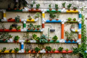For a sustainable future, we need to reconnect with what we’re eating – and each other