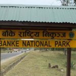 Travel time through Banke National Park reduced under revised time-card system