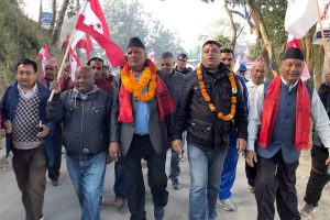 Nepali Congress wins Provincial Assembly seat in Bhaktapur