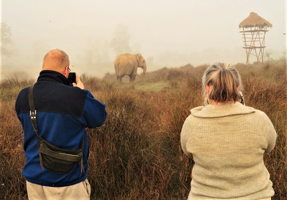 Tourists photograph Lucky, a retired elephant in Chitwan. Photo: Association Moey
