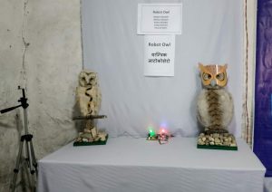 Owl festival in Dang on May 1-2