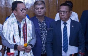 Division surfaces in ANFA leadership