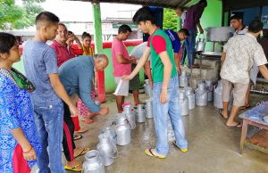 Lockdown leaves Chitwan dairy farmers lamenting