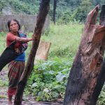 Protecting Nepal’s traditional knowledge: A legal imperative for the future