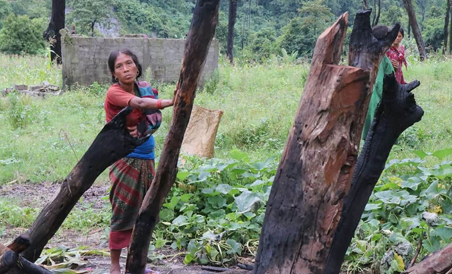 File: A scene of Kusumkhola, Chitwan, after the eviction of Chepangs, a group of indigenous people, by the Chitwan National Park, in July 2020. A few ethnic minorities were the only settlers of Nepal's southern plains before the eradication of malaria.