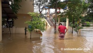 Sauraha hotels, restaurants inundated after incessant rainfall