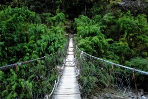Floods damage 8 suspension bridges and a motorable bridge in Tanahu