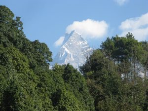 Going to Annapurna region? First, go to Dhampus instead
