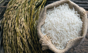 India’s ban on rice export to impact Nepal