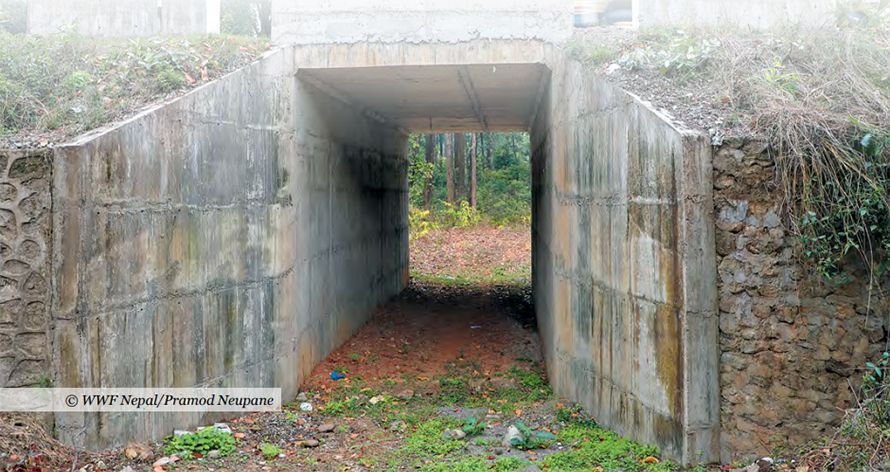 An underpass made for wildlife along the Narayangadh-Mugling road of Chitwan