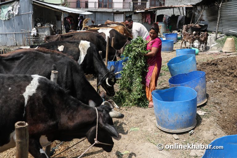 FDI in Nepal agriculture 5 major points of the current controversy