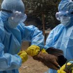 Bird flu confirmed in Bhaktapur poultry farms