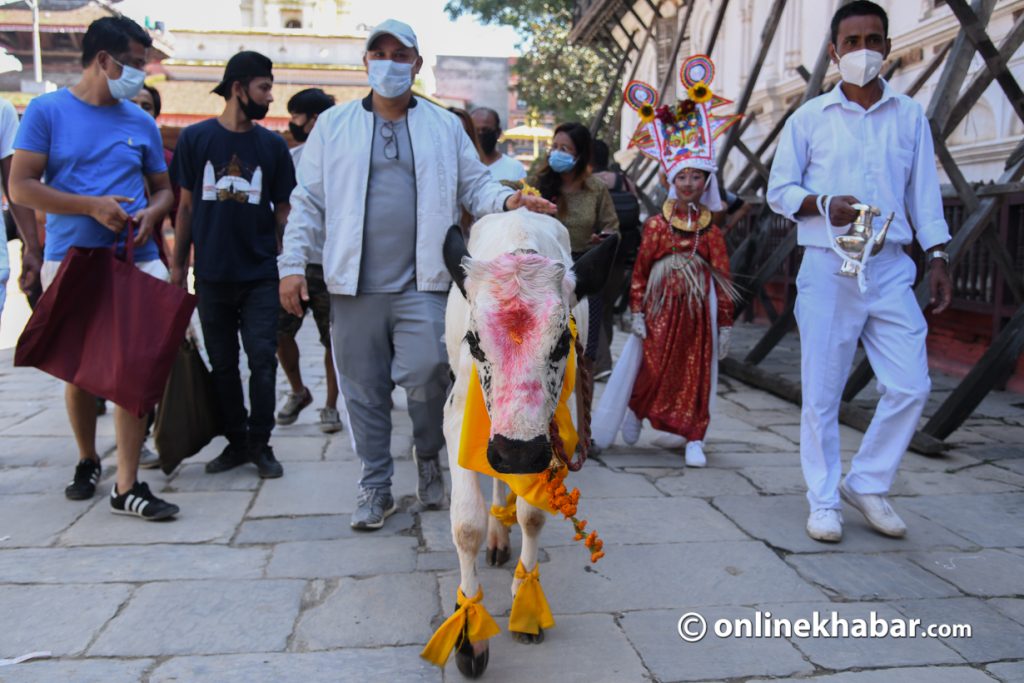 Gai jatra-basantapur-2077