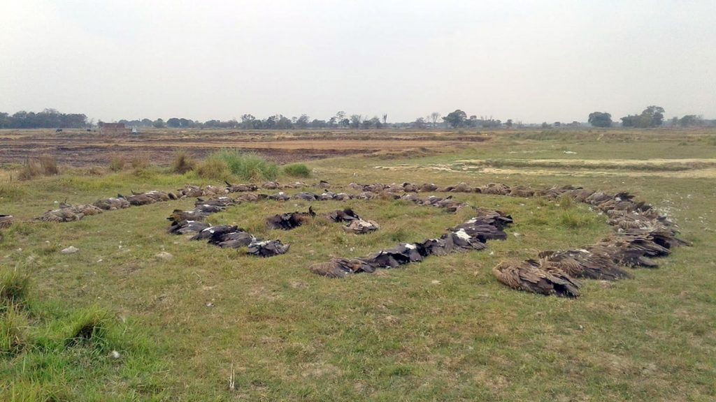 Local Conservation Dilemma Emerges in Nawalparasi Industrial Zone