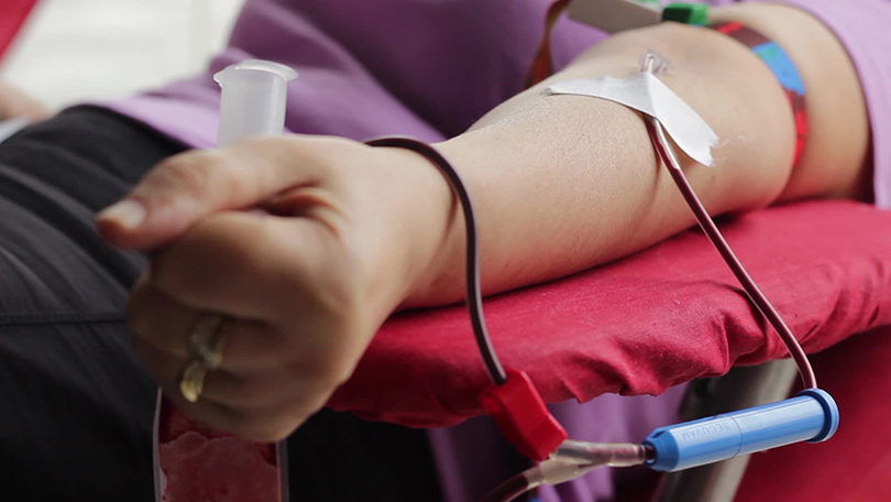 person doing blood donation 