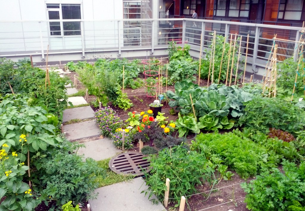 rooftop gardening hobbies for all ages