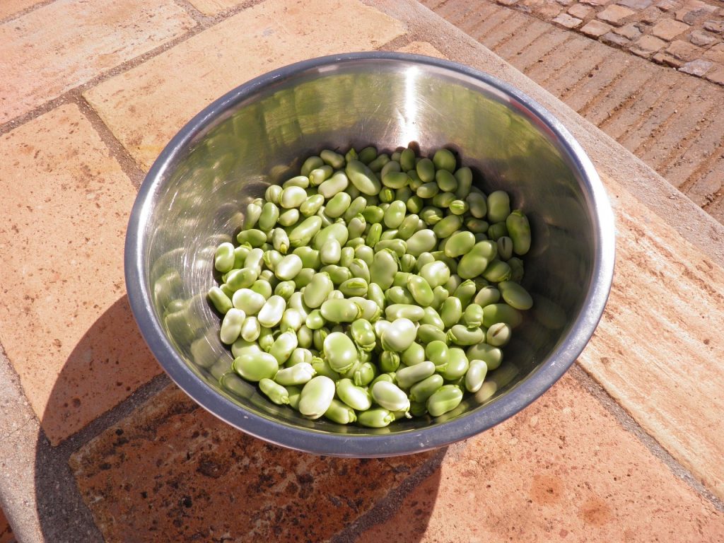 Kwati ingredients fava beans