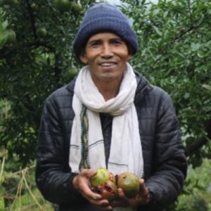 Anar Kaka: Meet the farmer revolutionising pomegranate farming in rural Nepal