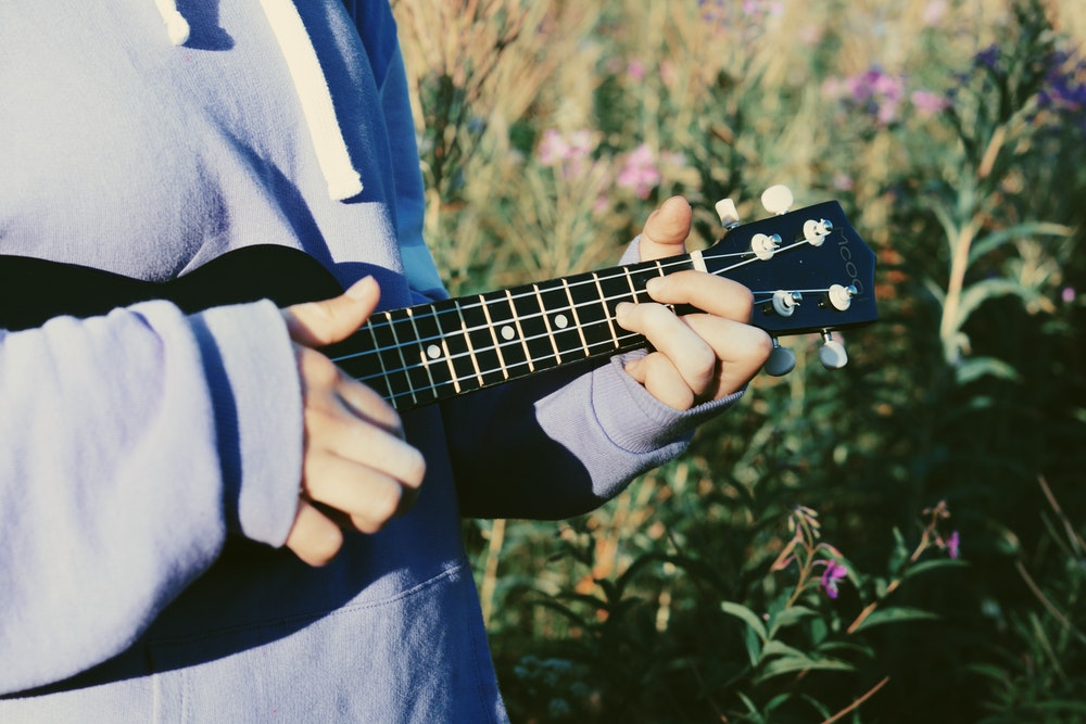 person playing ukelele hobby