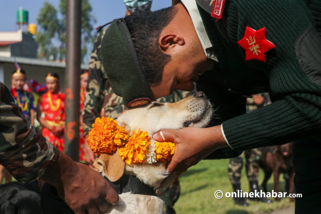 A Nepal Army official worshipping a dog at the Bhairav Bahan Company, on the day of Kukur Tihar.