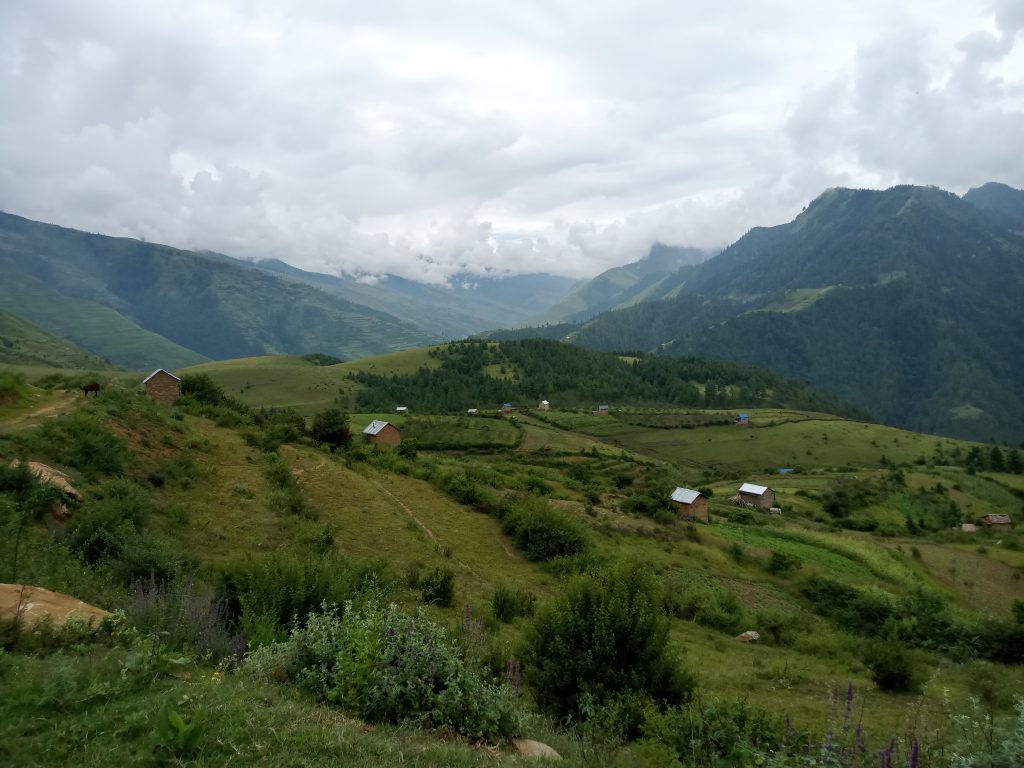 arable land abandonment Jumla
land in nepal 
agricultural land in Nepal