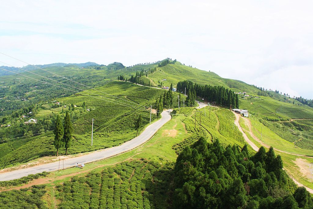 Kanyam, Ilam. Photo: Wikimedia Commons