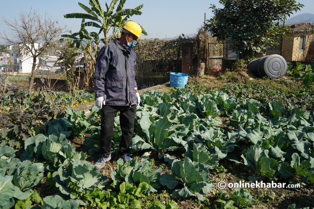 Surya Ghimire at the farm