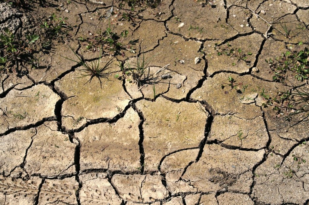Representational image: Drought. Photo: Pixabay