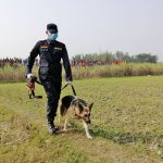 Morang police uncover 2 corpses in a sugarcane field one after another