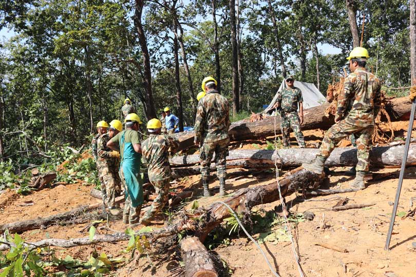 Army cutting down tree for the Kathmandu Terai fast track, one of the biggest development projects that are currently underway. 