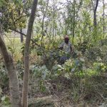 Sustainable forest management in Nepal: Two community forests in one district set an example