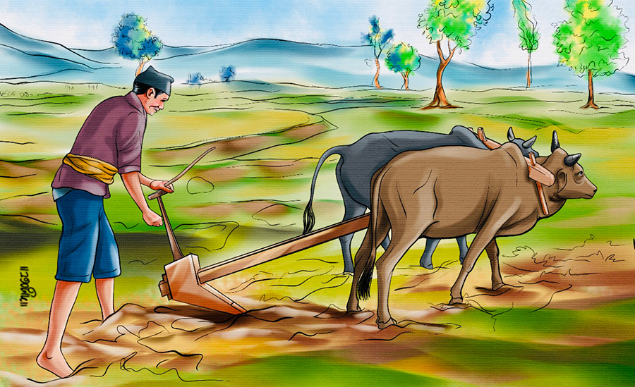 agriculture in nepal graphic