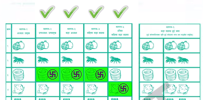 local elections voting process