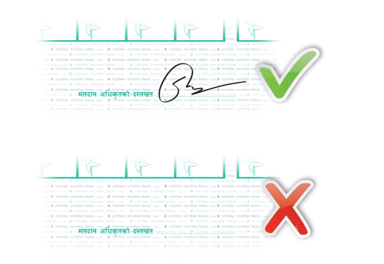 local elections voting process