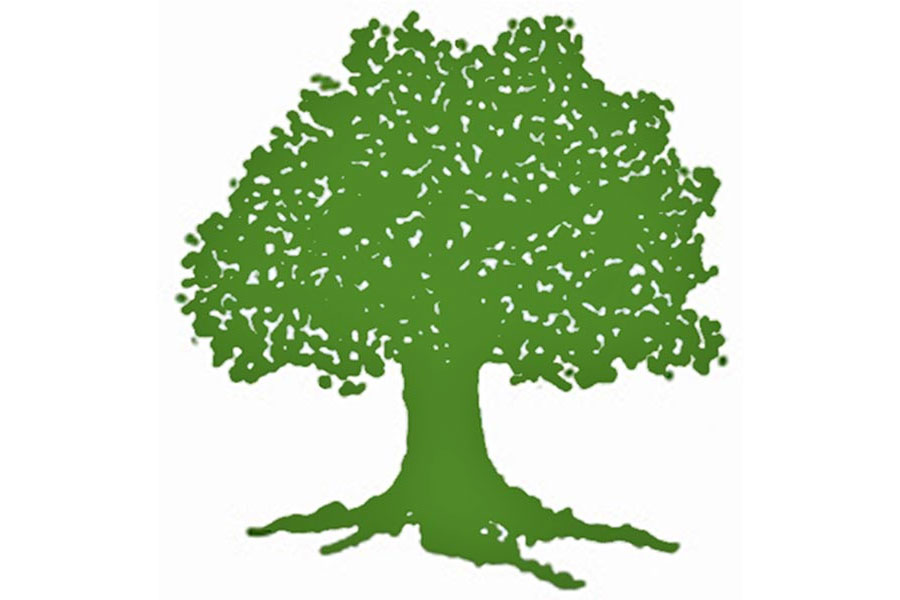 A tree, the Nepali Congress election symbol