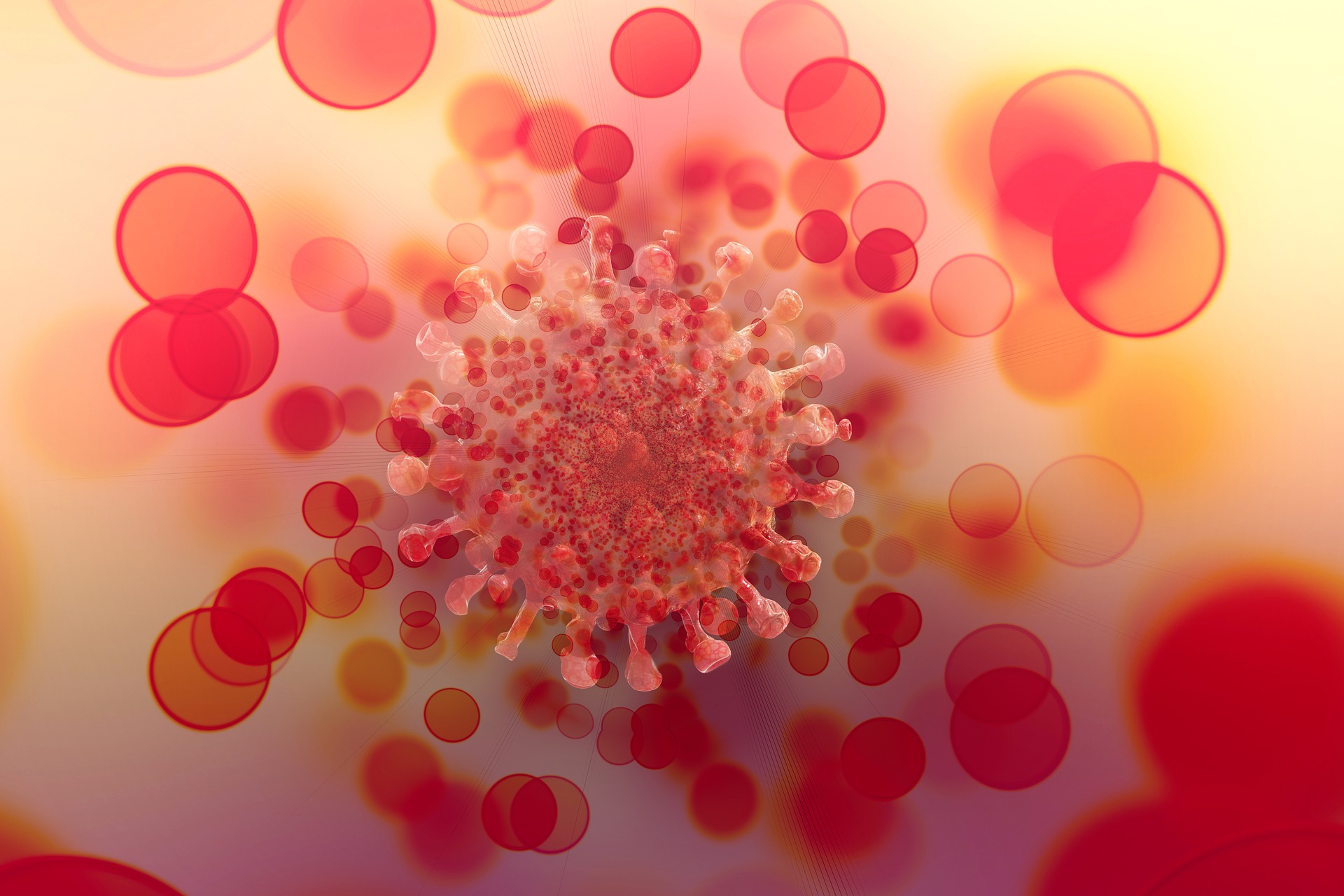 A graphical representation of the coronavirus. Photo: Pixabay