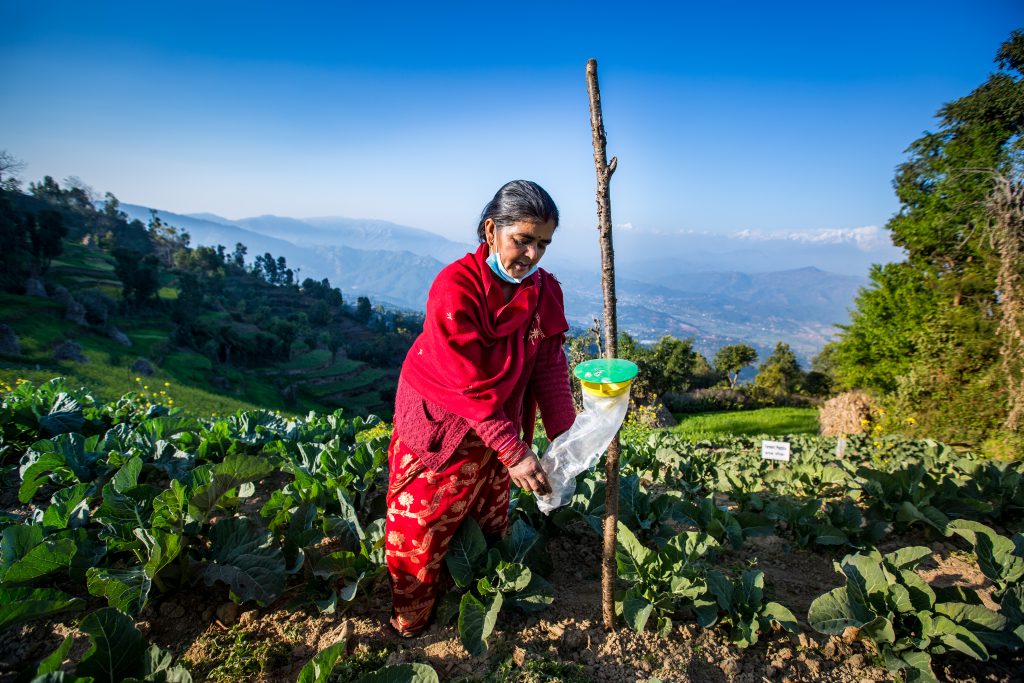 Kavre village Dhulikhel ICIMOD local vegetables