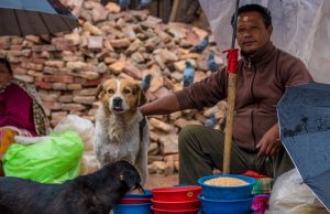 Manumitra: Making Kathmandu responsible for community dog management