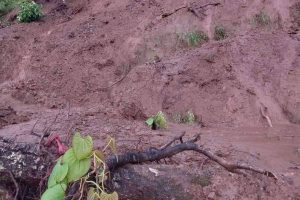Achham landslide kills 3