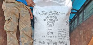 Govt planning to reduce subsidy on chemical fertilisers