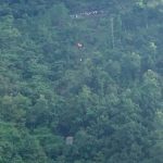 6 dead, 16 injured in Palpa bus accident