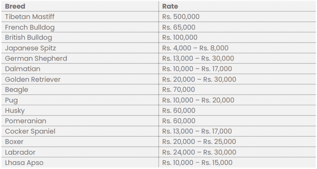 pedigree dogs and their price