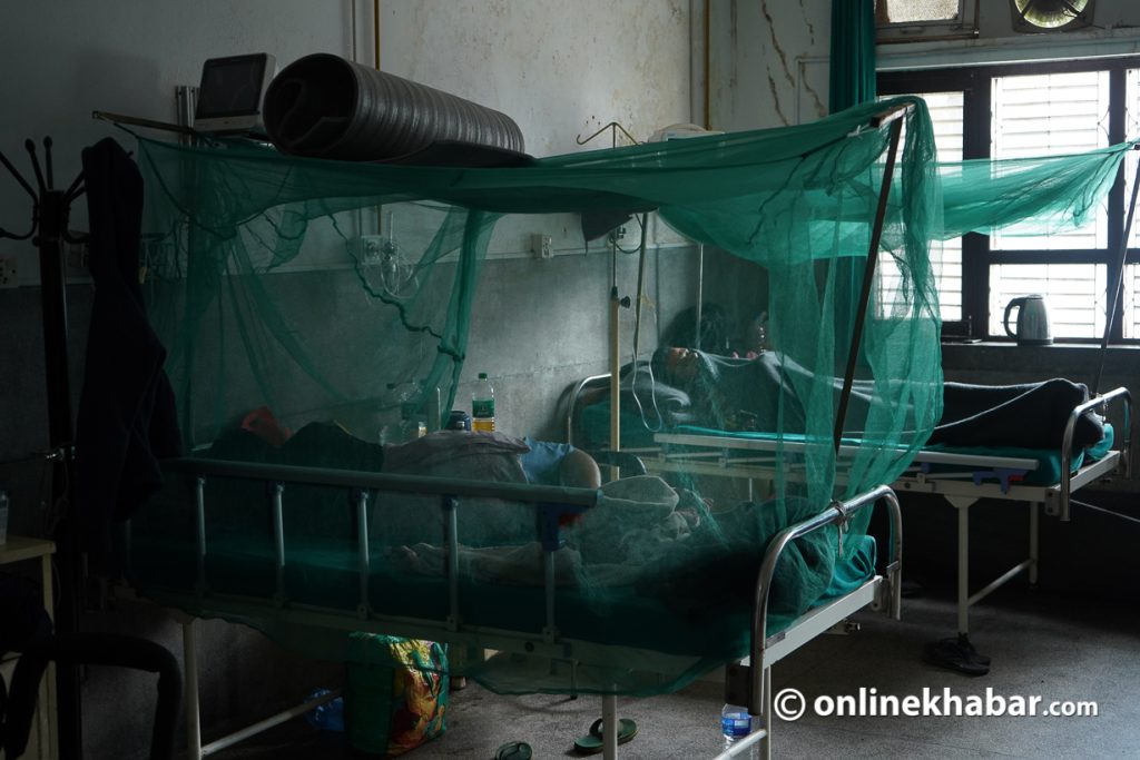 A dengue patient at Shukraraj Tropical and Infectious Disease Hospital. Photo: Aryan Dhimal Denue in Nepal